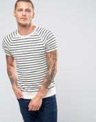 Scotch And Soda Striped Short Sleeve Sweatshirt - Cream