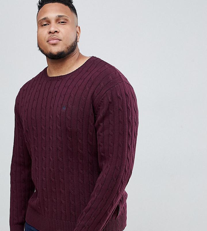 French Connection Plus 100% Cotton Logo Cable Knit Sweater-red