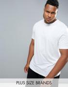 Canterbury Plus T-shirt In White E546668-001 - White
