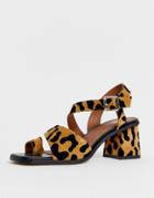 Asos Design Hickery Premium Suede Toe Loop Block Heeled Sandals In Leopard - Multi