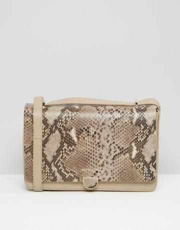 Modalu Leather Shoulder Bag With Chain Strap In Faux Snakeskin - Beige