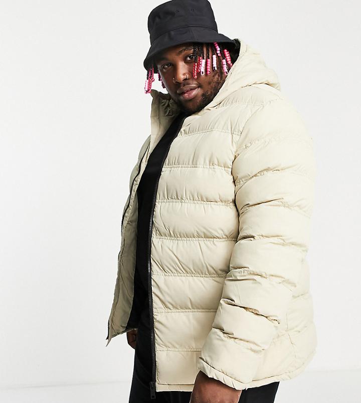 Threadbare Plus Puffer Jacket With Hood In Stone-neutral