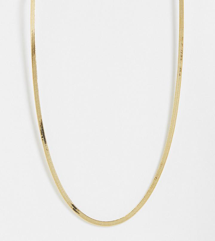 Orelia Flat Chain Necklace In Gold Plate