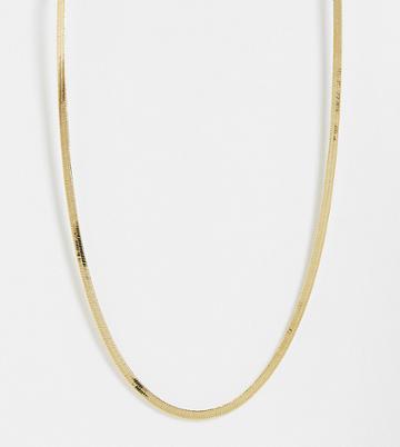 Orelia Flat Chain Necklace In Gold Plate