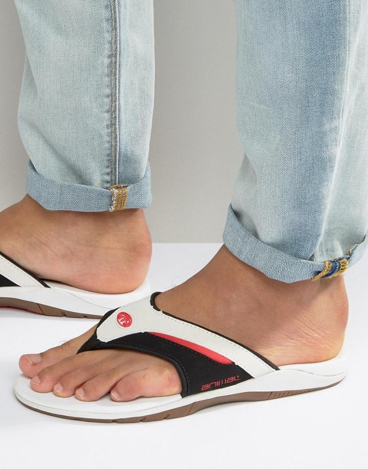Animal Fader Flip Flops - White