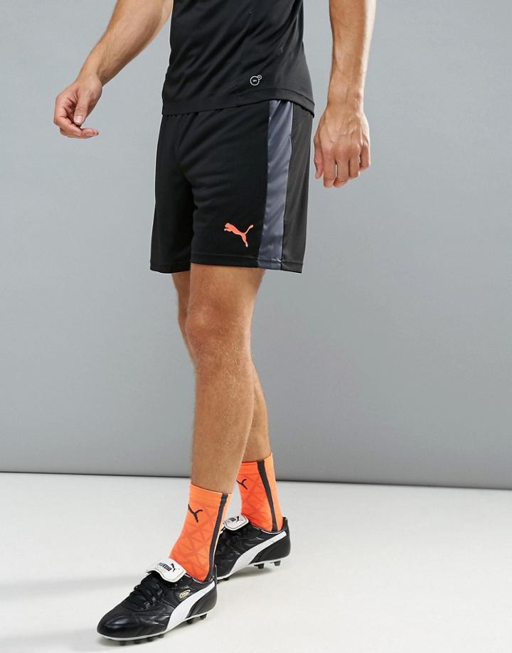 Puma Football Evotrg Training Shorts In Black 65534806 - Black