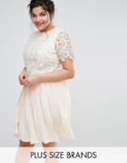 Little Mistress Plus Premium Lace Overlay Midi Dress With Pleated Skirt - Cream