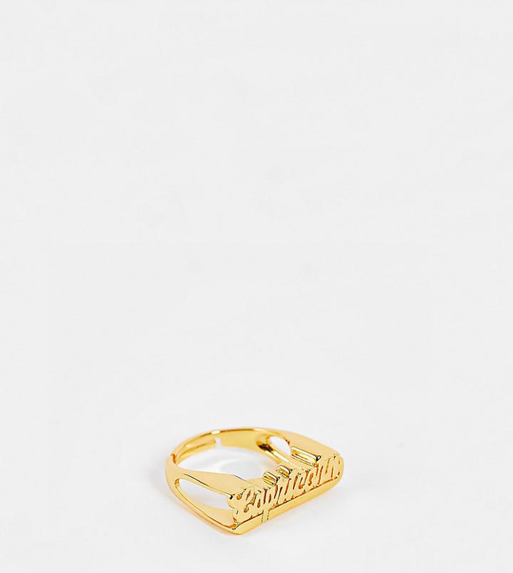 Image Gang Adjustable Capricorn Horoscope Ring In Gold Plate