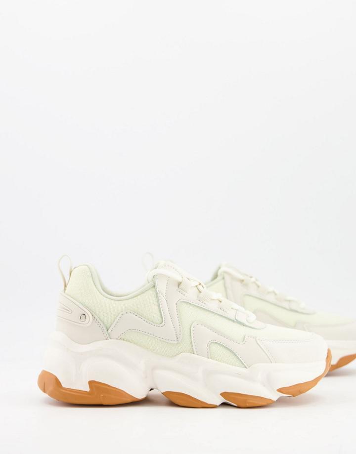 Raid Taylor Gum Sole Sneakers In Beige-neutral