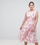 Chi Chi London Plus Fit And Flare Midi Dress With Seam Detail In Floral Print - Pink