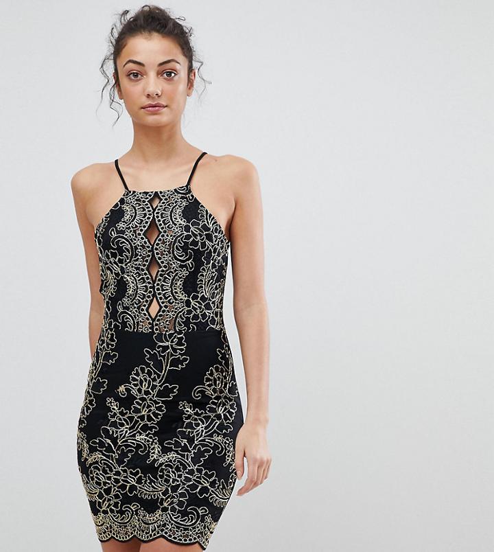 Parisian Tall Embroidered Metallic Dress - Black