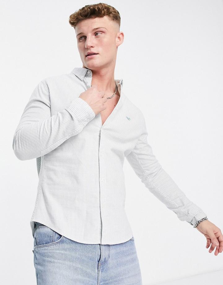 Hollister Stripe Shirt In Green
