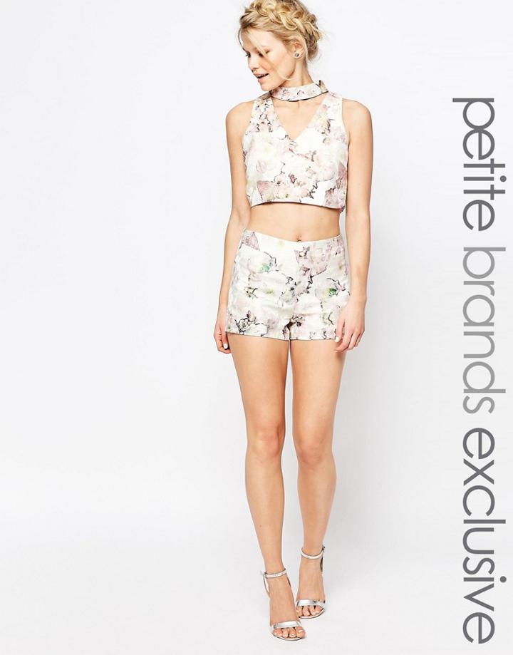 True Decadence Petite Floral Jacquard Tailored Shorts - Multi