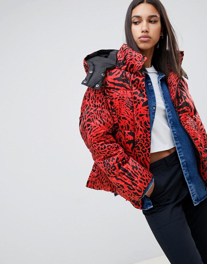 Asos Design Leopard Collared Padded Jacket - Multi