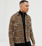 Asos Design Tall Leopard Print Denim Jacket - Tan