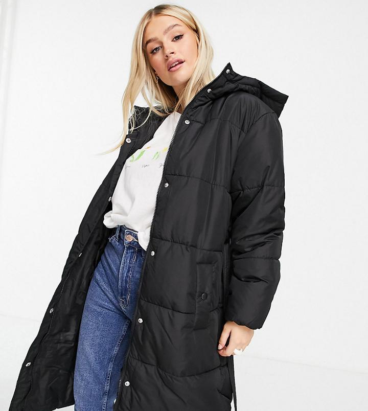 New Look Petite Belted Padded Jacket In Black