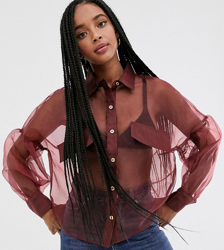 Wild Honey Sheer Shirt With Balloon Sleeves - Pink
