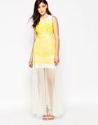 True Violet Zig Zag Maxi Dress With Mesh Overlay