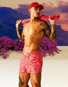 Asos Design Swim Shorts In Zebra Print Super Short Length - Part Of A Set-multi