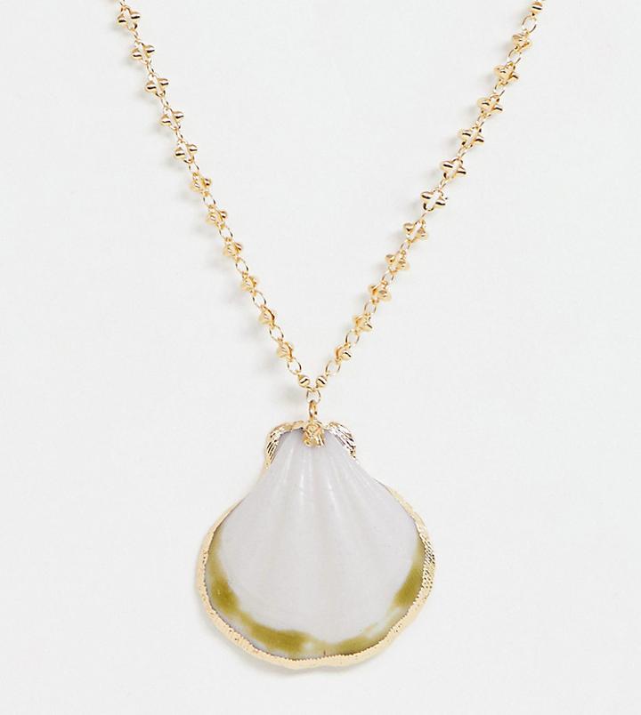 Asos Design Curve Necklace With Sea Shell Pendant And Detailed Chain In Gold