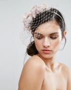 Vixen Fascinator Headband With Veil - Pink