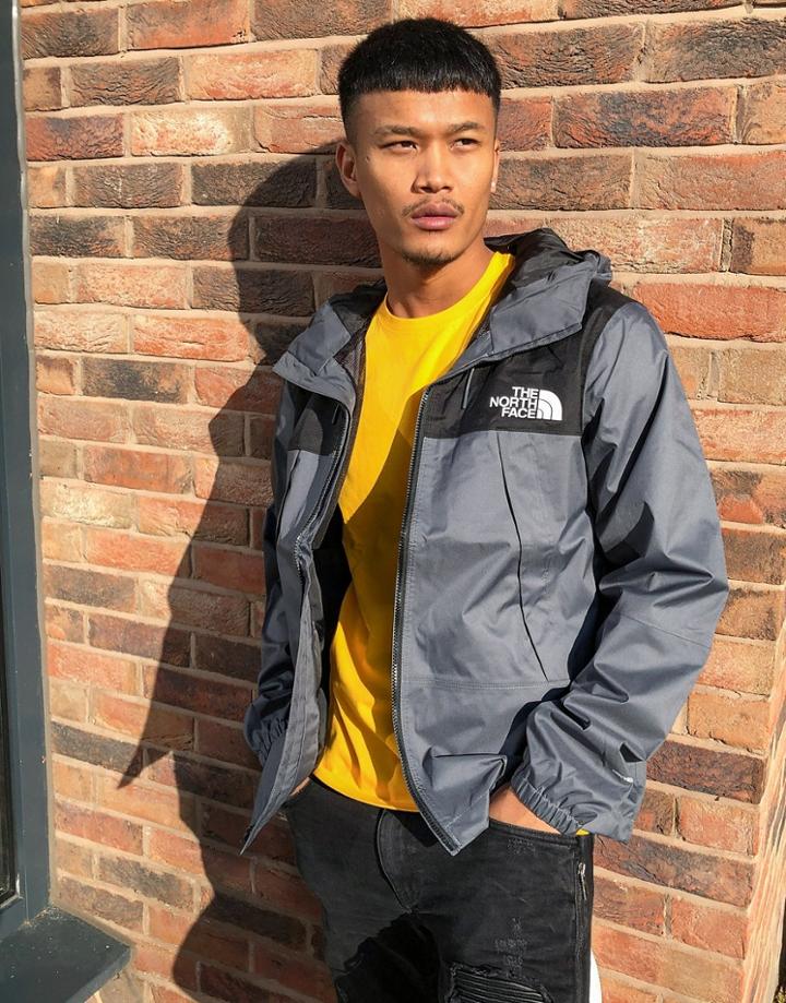 The North Face 1990 Mountain Q Jacket In Gray-grey