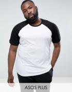 Asos Plus T-shirt With Contrast Raglan - White
