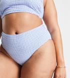 Peek & Beau Curve Exclusive High Waist Bikini Bottom In Blue Textured Gingham-blues