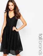 Studio 75 Tall Skater Dress - Black