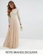 Maya Petite Long Sleeve V Neck Tulle Maxi Dress With Multi Color Sequin - Multi