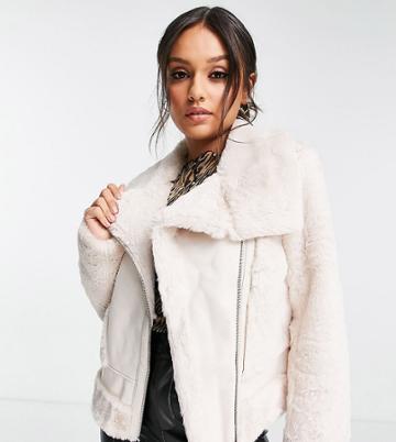 Ever New Petite Shearling Aviator Coat In Cream-white
