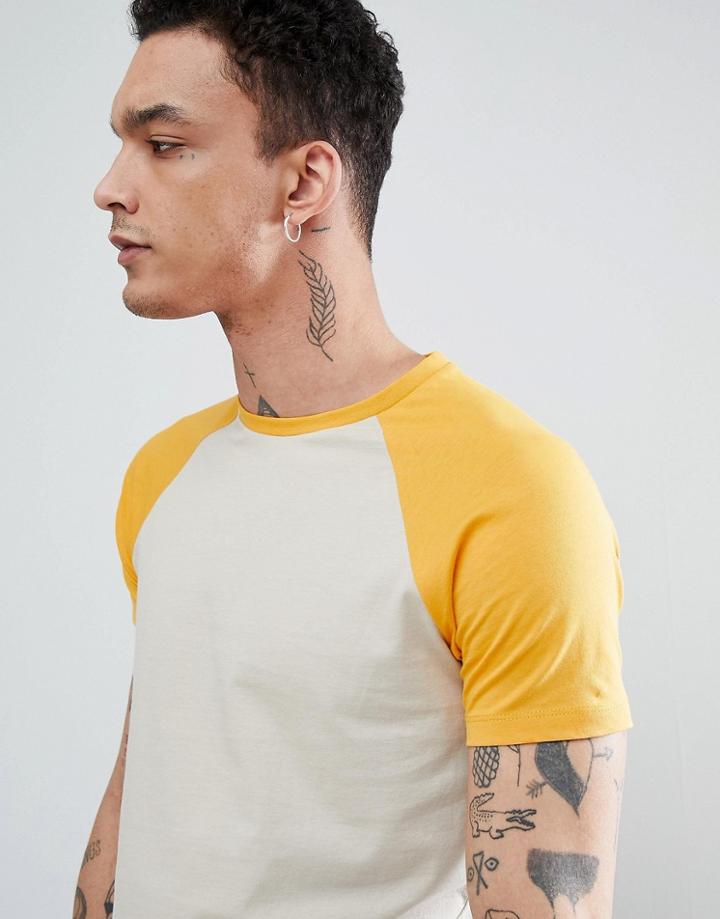 Asos Design Raglan T-shirt With Contrast Sleeves - Multi