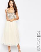 Little Mistress Tall Sequin Bodice Tulle Prom Dress - Cream