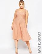 Asos Curve Fit & Flare Dress With Lace - Nude
