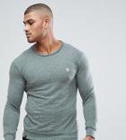 Le Breve Tall Sweatshirt - Green