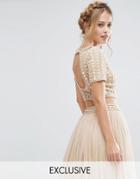 Lace & Beads Cropped Top With Embellishment And Open Back Co Ord - Cream