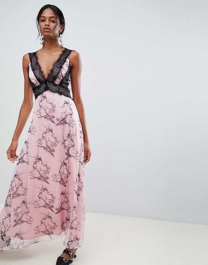 Liquorish Bird Print Maxi Dress With Lace Inserts - Pink