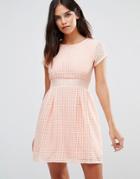 Wal G Mesh Skater Dress - Pink