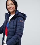 Esprit Short Padded Jacket With Hood In Navy - Navy