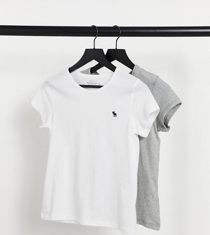 Abercrombie & Fitch 2 Pack Short Sleeve Icon Crew Tee In Multi