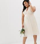 Tfnc Plus Lace Detail Midi Bridesmaid Dress - Pink