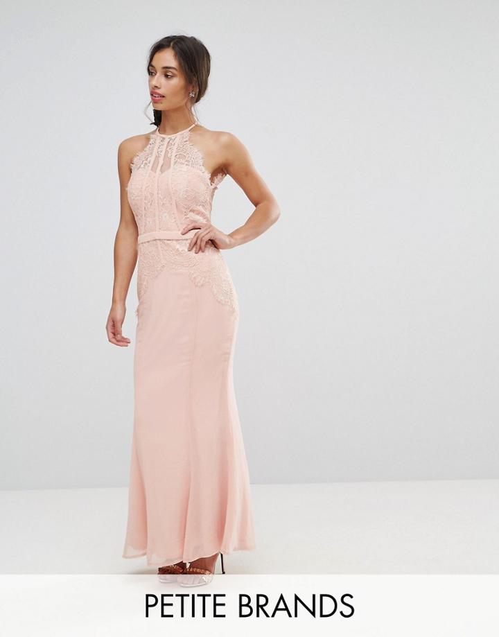 Little Mistress Petite All Over Lace Top Fishtail Maxi Dress - Pink