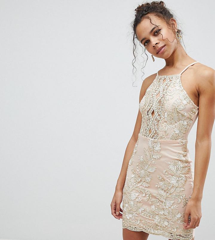 Parisian Petite Embroidered Metallic Dress - Pink