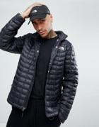 The North Face International Limited Capsule Thermoball Puffer Jacket In Black With Flag Lining - Black