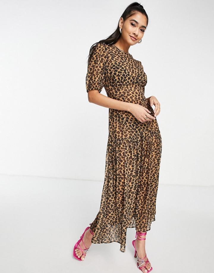 Never Fully Dressed Lucia Sheer Midaxi Dress In Leopard Print-brown