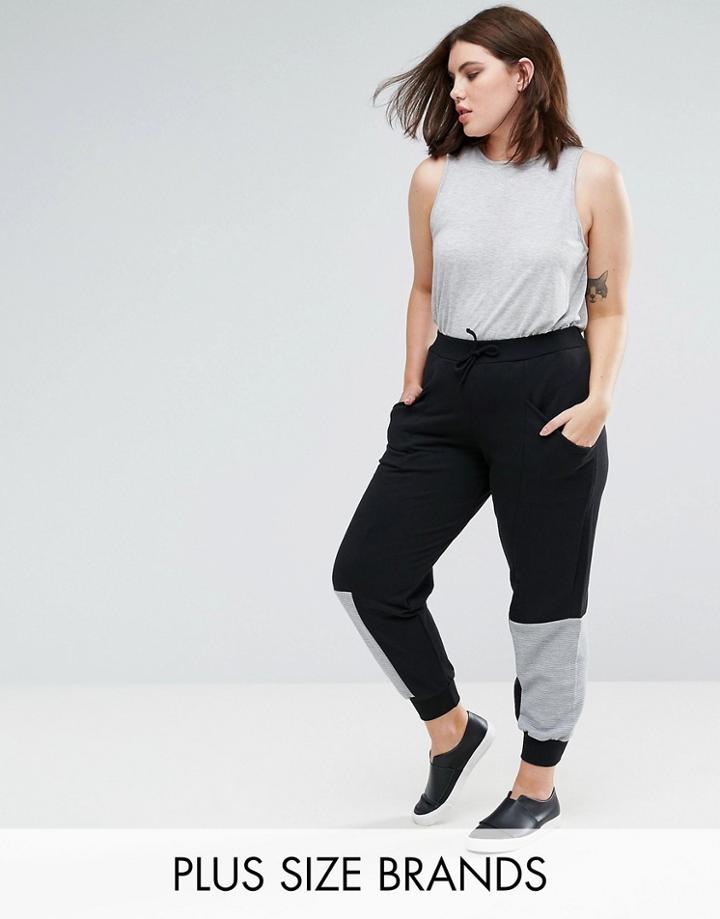 Pink Clove Paneled Jogger With Rib Detail - Black