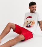 Asos Design Holidays Lounge Pyjama Shorts And Tshirt Set With Dog Photographic Print-red