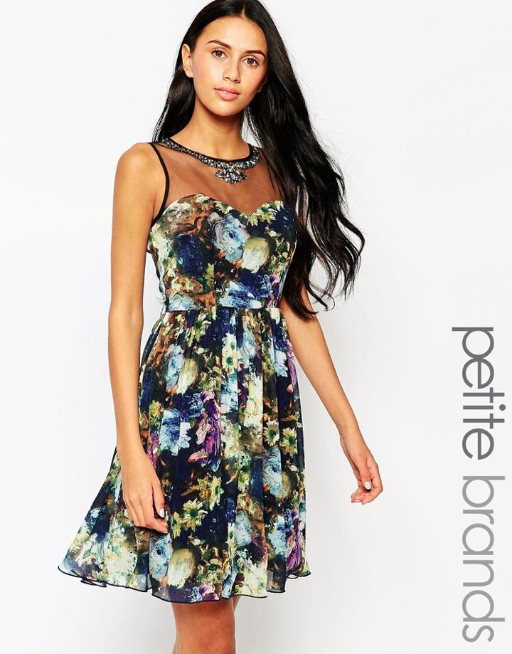 Little Mistress Petite Skater Dress With Mesh Insert And Embellished Detail - Multi