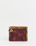 New Look Snake Print Coin Ladies' Wallet In Multicoloured - Multi