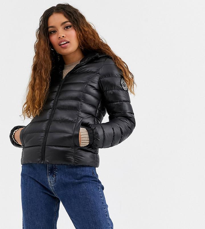 Brave Soul Petite Everett Padded Coat - Black